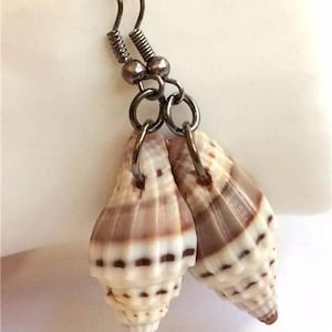 May include: A pair of seashell earrings. The earrings feature natural seashells with brown and white stripes, suspended from dark metal hooks and rings. The shells have a spiral shape and a textured surface.
