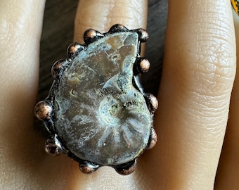 Raw Nautilus Fossil Shell Cuff Ring, Adjustable Ring