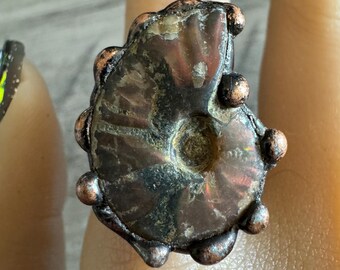 Polished Nautilus Fossil Shell Cuff Ring, Adjustable Ring