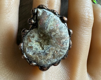 Raw Nautilus Fossil Shell Cuff Ring, Adjustable Ring