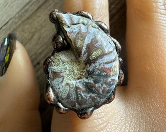 Raw Nautilus Fossil Shell Cuff Ring, Adjustable Ring