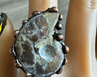 Raw Nautilus Fossil Shell Cuff Ring, Adjustable Ring
