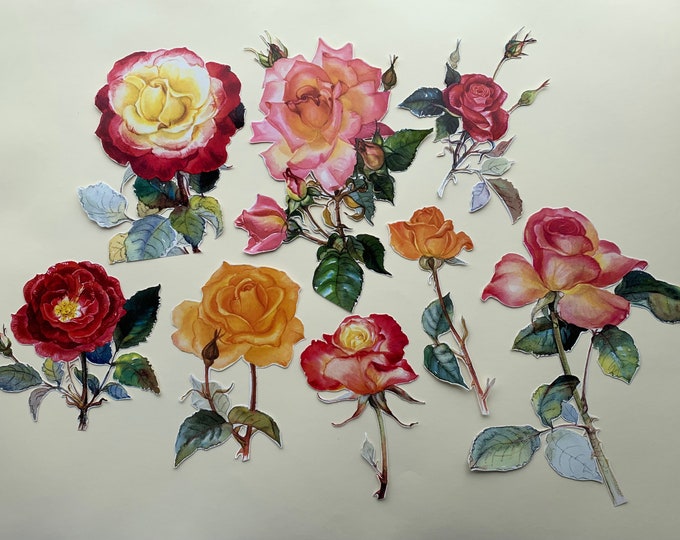Roses Floral Paper Cutouts Scrapbook Ephemera Embellishments Journaling ...