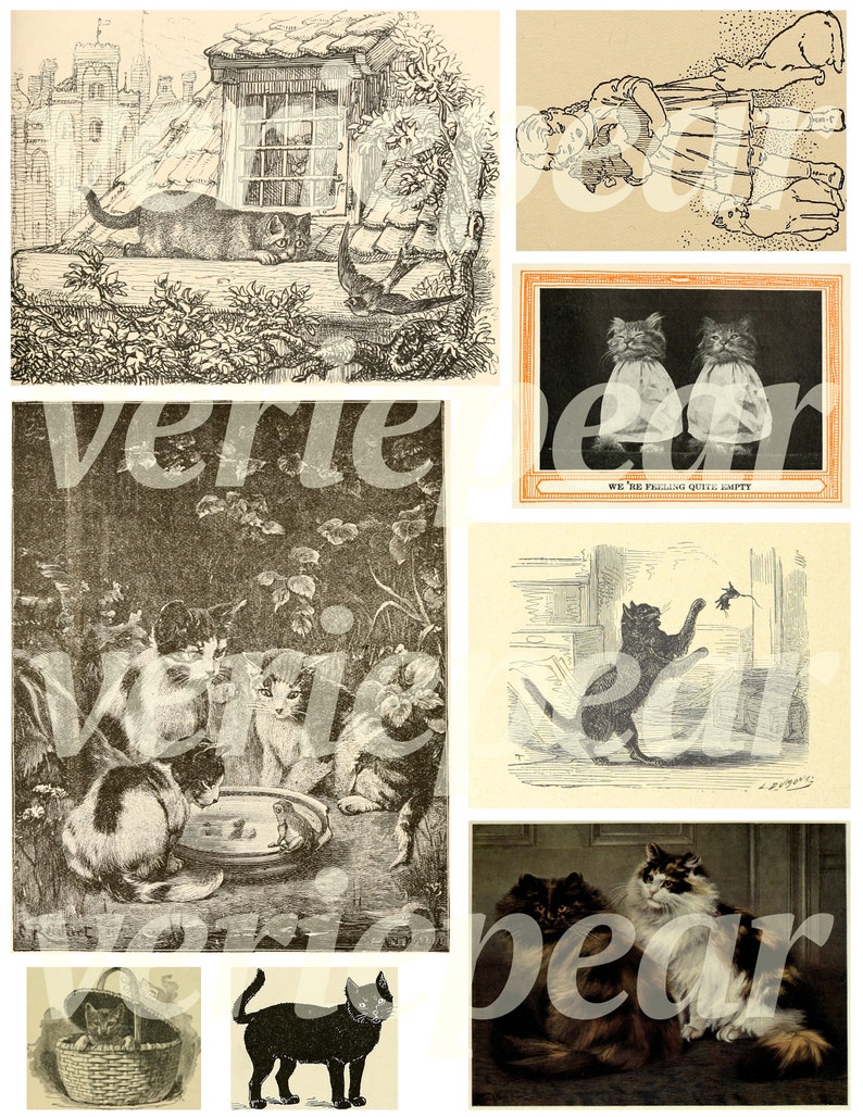 May include: A collection of vintage illustrations featuring cats in various poses. The images depict cats playing, sleeping, and interacting with each other. One image shows two cats sitting side-by-side with the text "We are feeling quite empty".