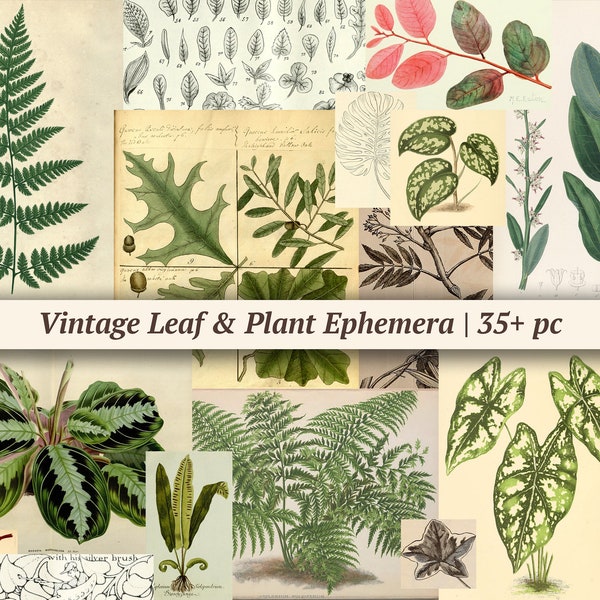 Vintage Leaf & Plant Ephemera, printable botanical junk journal paper, nature scrapbook kit, woodland forest collage sheet, digital download