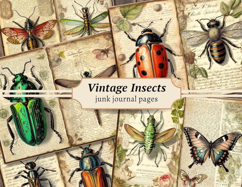 Printable Insect Journal Vintage Insects Junk Journal Pages, Digital Scrapbook Paper Kit ...