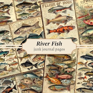 Pages de carnet de bord de mer poissons de rivière, kit de papier de scrapbooking numérique, impression marine, feuille de collage créature de la mer, téléchargement vintage océan nautique