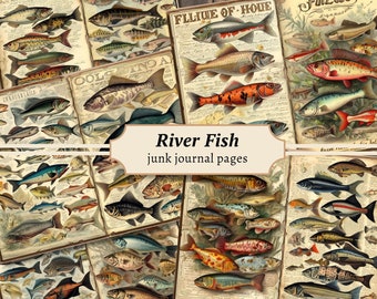 May include: A collage of vintage illustrations of different types of river fish. The images are in shades of brown, green, blue, red, and orange. The text "River Fish" and "junk journal pages" is at the bottom of the collage.