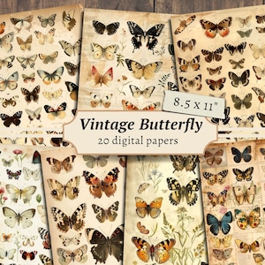 Vintage digitale papers vlinder, plakboekkit, afdrukbaar vlinderexemplaar, collageblad, ongewenste dagboekpagina's, botanische download