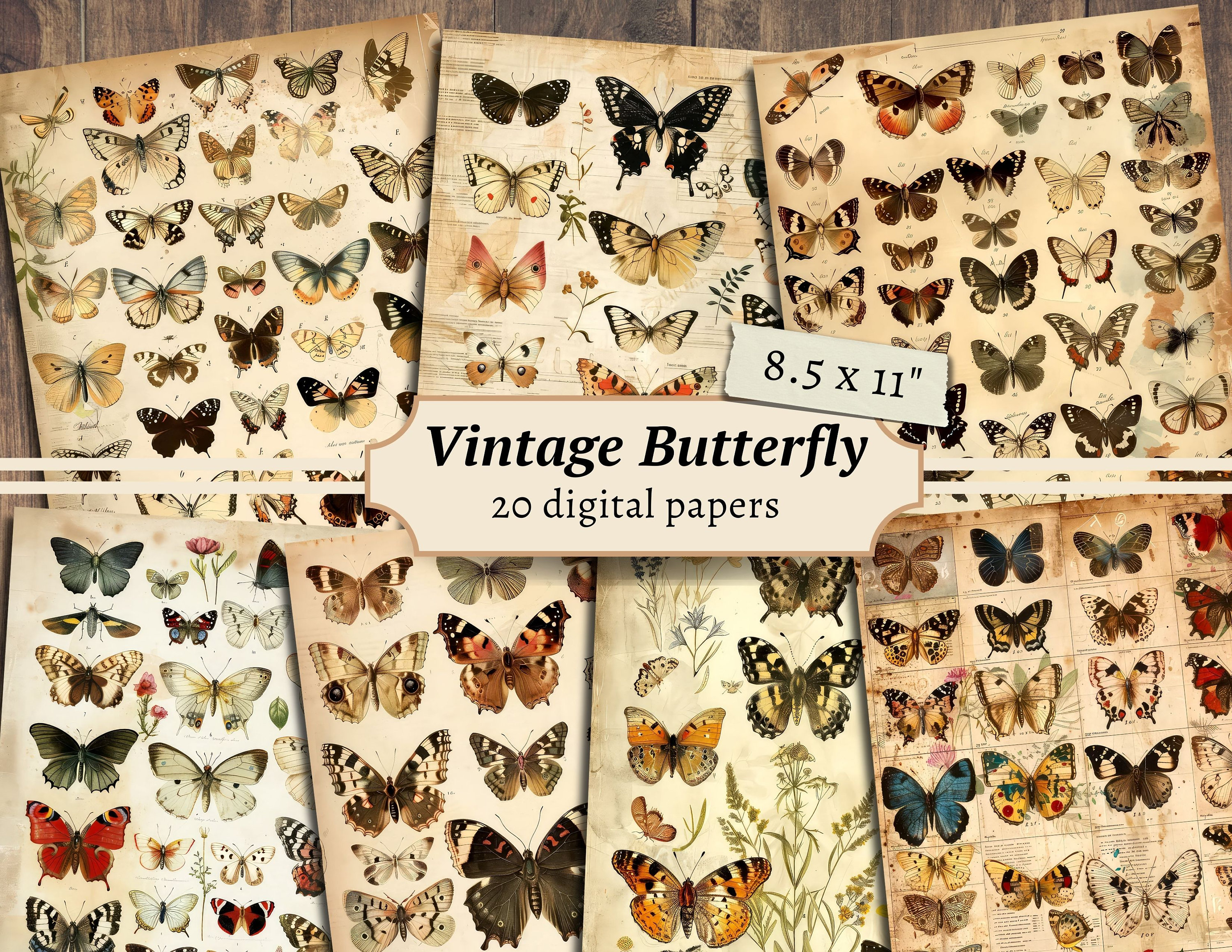 Vintage Butterfly Digital Papers, Scrapbook Kit, Butterfly Specimen Printable, Collage Sheet, Junk Journal Pages, Botanical Download