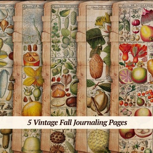 Vintage herfst ongewenste dagboekpagina's | 5 stuks | kortstondige digitale journaling | herfstafdrukbaar | oud rustiek pompoenpapier | Collagevel voor plakboek