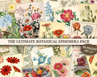 May include: A collage of 50 pages of vintage botanical illustrations featuring various flowers, plants, and insects. The pages are filled with colorful images of flowers like roses, poppies, and lilies, as well as leaves, stems, and butterflies. The text on the pages includes "The Ultimate Botanical Ephemera Pack", "Garden and", "Seed Ann 1898", and "Cox Seeds & Pea".