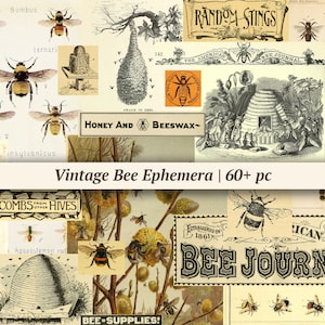 Vintage Bee Ephemera | 60+ pc | digital junk journal paper, printable collage sheet, insect scrapbook kit, honey bee pages, journaling pack