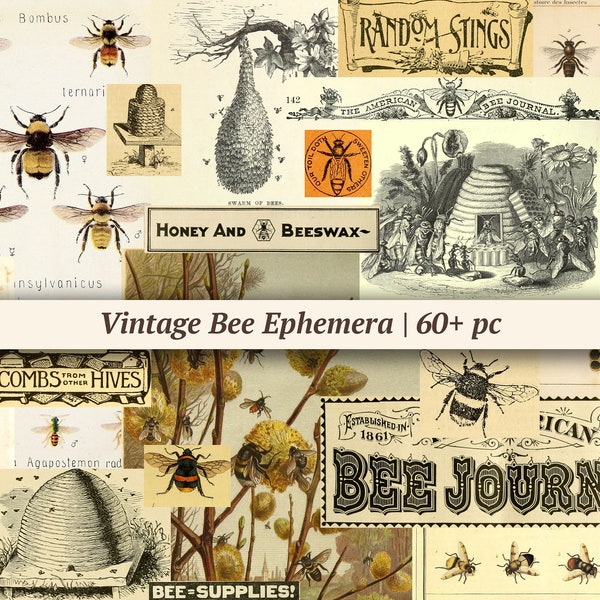 Vintage Bee Ephemera | 60+ pc | digital junk journal paper, printable collage sheet, insect scrapbook kit, honey bee pages, journaling pack