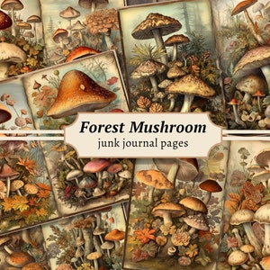 Pagine di diario di funghi della foresta, kit di carta per album digitali, stampabile autunnale, foglio di collage autunnale, effimere vintage, funghi botanici