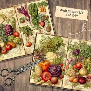 May include: Two open vintage books with illustrations of various vegetables, including cauliflower, tomatoes, onions, and cabbage. The books are on a wooden surface with a pair of antique scissors.