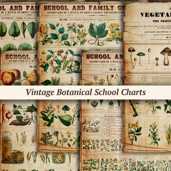 Vintage Botanical School Chart Pages | digital junk journal ephemera, printable collage sheet, mushroom paper kit, floral nature scrapbook