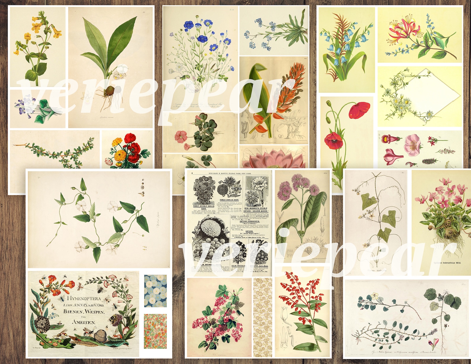 Vintage Botanical Junk Journal Ephemera Pack | 50 Pages, Printable ...