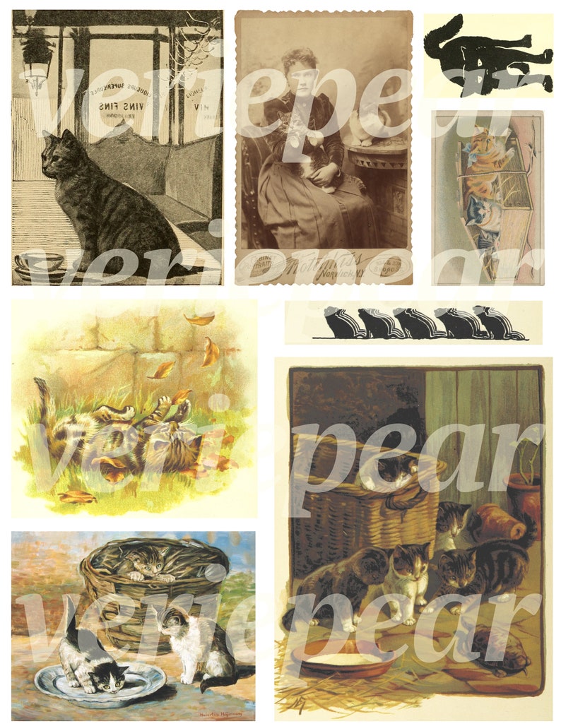 Puede incluir: Un collage de im&aacute;genes vintage con gatos. Las im&aacute;genes incluyen un gato negro sentado en una silla, una mujer sosteniendo un gato, un grupo de gatos jugando en una cesta y un gato bebiendo de un cuenco.