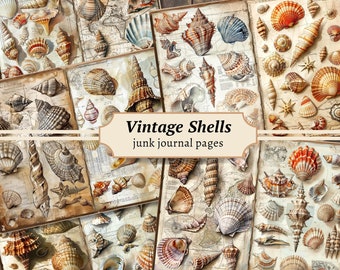 Vintage Shells Junk Journal Pages, Digital Scrapbook Paper Kit, Coastal Printable, Beach Collage Sheet, Nautical Seashell, Seaside Download