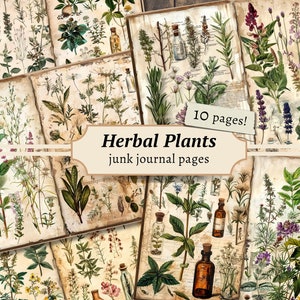 Páginas de diário de lixo de plantas de ervas, kit de papel de álbum de recortes digital, impressão botânica, folha de colagem antiga, coisas efêmeras de ervas vintage, boticário