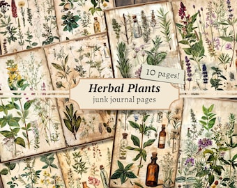 Herbal Plants Junk Journal Pages, Digital Scrapbook Paper Kit, Botanical Printable, Antique Collage Sheet, Vintage Herb Ephemera, Apothecary