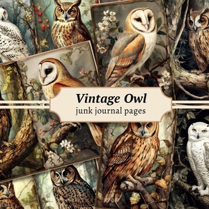 Eulen Vintage Junk Journal Seiten, Digitales Scrapbook Papier Kit, Waldlandschaft zum ausdrucken, Collage Sheet, Wald Eule Ephemera, Antiker Vogel Download