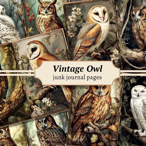 Vintage Owl Junk Journal Pages, Digital Scrapbook Paper Kit, Woodland Printable, Collage Sheet, Forest Owl Ephemera, Antique Bird Download