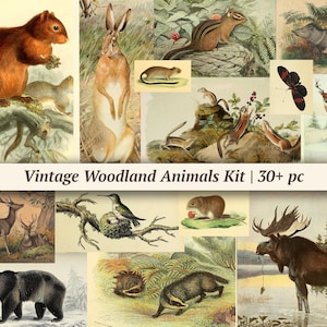 Vintage bosdieren ephemera kit | 30+ stuks | afdrukbare benodigdheden voor junkjournals, digitaal plakboekpapier, boscollageblad, natuurpagina's