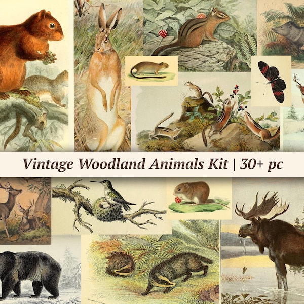 Vintage Woodland Animal Ephemera Kit | 30+ pc | printable junk journal supplies, digital scrapbook paper, forest collage sheet, nature pages