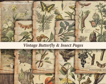 Vintage Schmetterling Seiten | Digitales Entomologie Papier, Insekten Junk Journal Kit, botanisches Blatt, Scrapbook Papier zum selbst ausdrucken