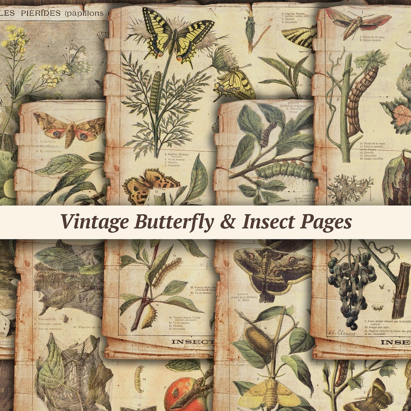 Butterfly Scrapbook - Etsy
