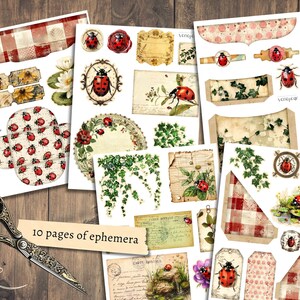 Ladybug Junk Journal Kit, Digital Scrapbook Paper, Ladybird Printable ...