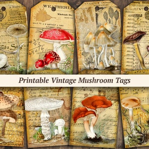 Vintage Mushroom Tags | printable junk journal ephemera pack, botanical embellishment page, digital scrapbook paper kit, fungi collage sheet