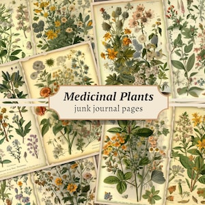 Pages de journal indésirables plantes médicinales, fleurs éphémères vintage, feuille de collage botanique numérique, kit de papier de scrapbooking à base de plantes, floral imprimable