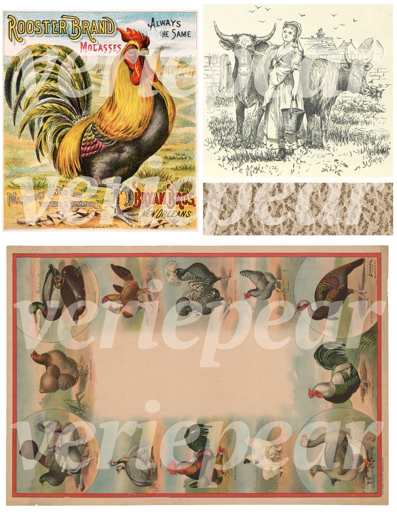 Vintage bondgårds-ephemera | 40+ st | digitalt collageark, utskrivbart skräpjournalkit för lantlig användning, scrapbookingpapper för bondgårdsliv, bilder på bondgårdsdjur bild 6