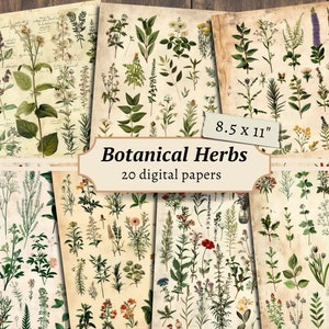 Papeles digitales de hierbas botánicas, kit de álbum de recortes, boticario imprimible, hoja de collage de hierbas, páginas de diario basura, efímera vintage, tarjetas de plantas