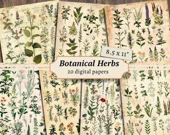May include: A set of 20 digital papers featuring vintage botanical illustrations of herbs and flowers. The papers are 8.5 x 11 inches and are perfect for scrapbooking, card making, and other crafting projects.