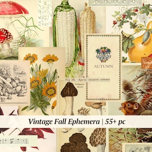 Vintage herfstverschijnselen | 55+ stuks | afdrukbaar herfstafvaldagboekpapier | digitaal halloween-plakboekpakket | collageblad pompoen: kieskeurige snitten