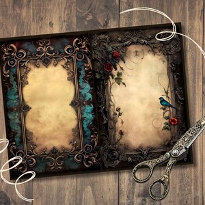 May include: Two ornate frames with a vintage, aged paper background. The frames are decorated with gold and blue accents. One frame features a blue bird and red flowers, while the other has a more abstract design.