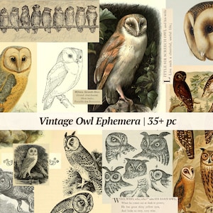 Vintage kortstondige uil | 35+ stuks | digitale junk-dagboekkit, afdrukbare uilafbeeldingen, plakboektags, vogelcollageblad, logboekkaarten