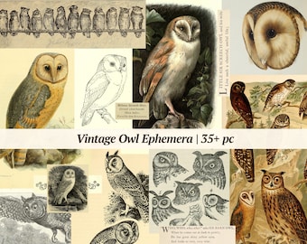 Vintage Owl Ephemera | 35+ pc | digital junk journal kit, printable owl images, scrapbook paper tags, bird collage sheet, journaling cards