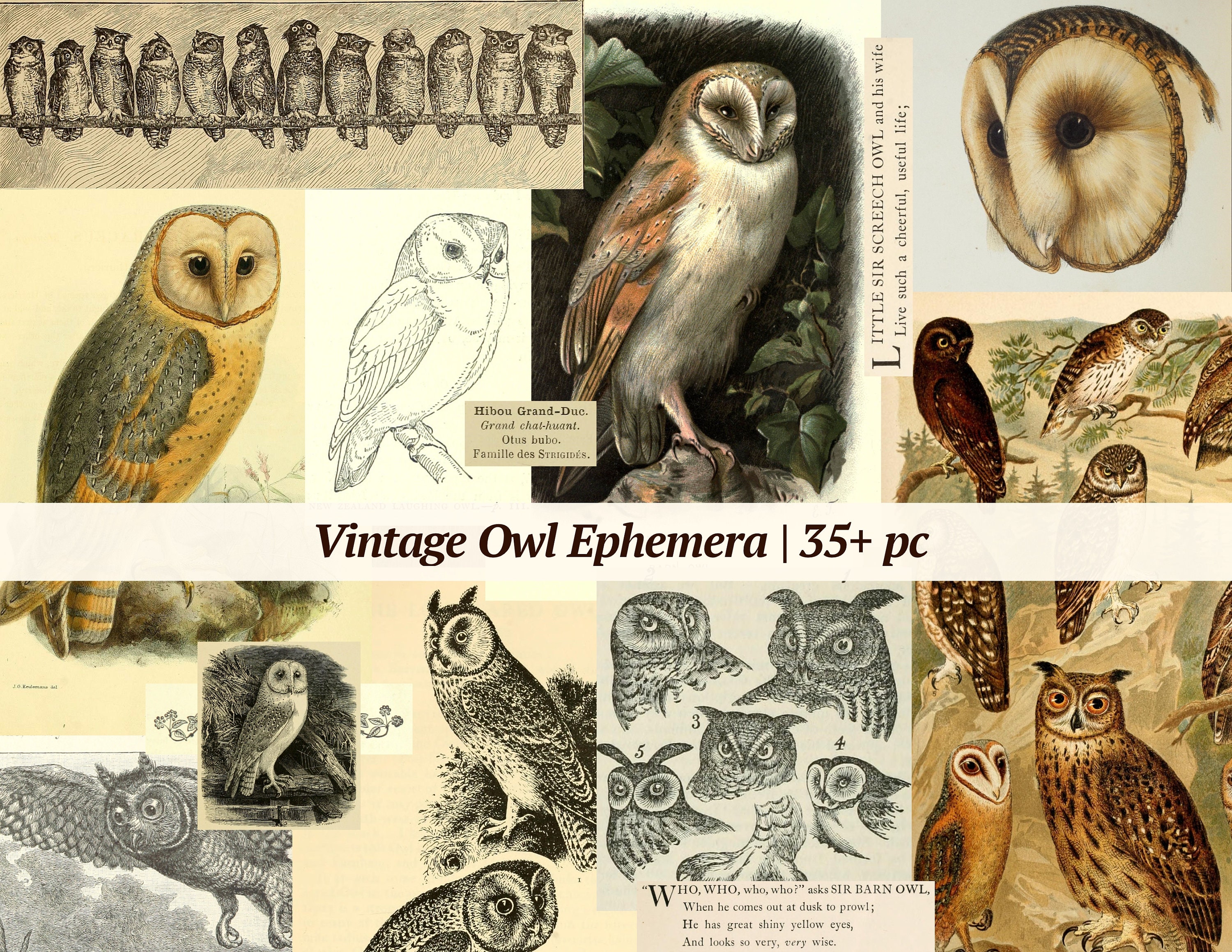 Vintage Owl Ephemera | 35+ pc | digital junk journal kit, printable owl images, scrapbook paper tags