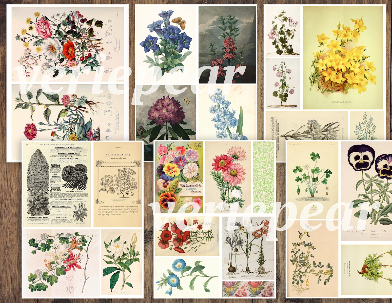 Vintage Botanical Junk Journal Ephemera Pack | 50 Pages, Printable ...