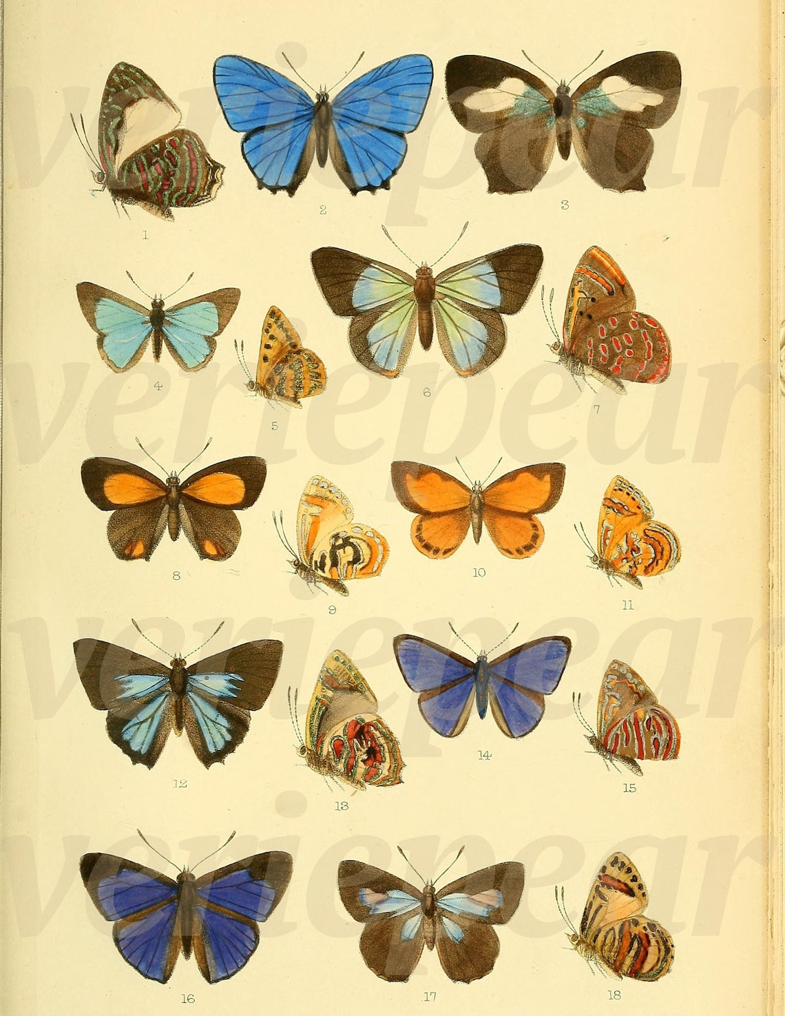 Vintage Butterfly Printables | Butterfly Digikit | Digital Download ...