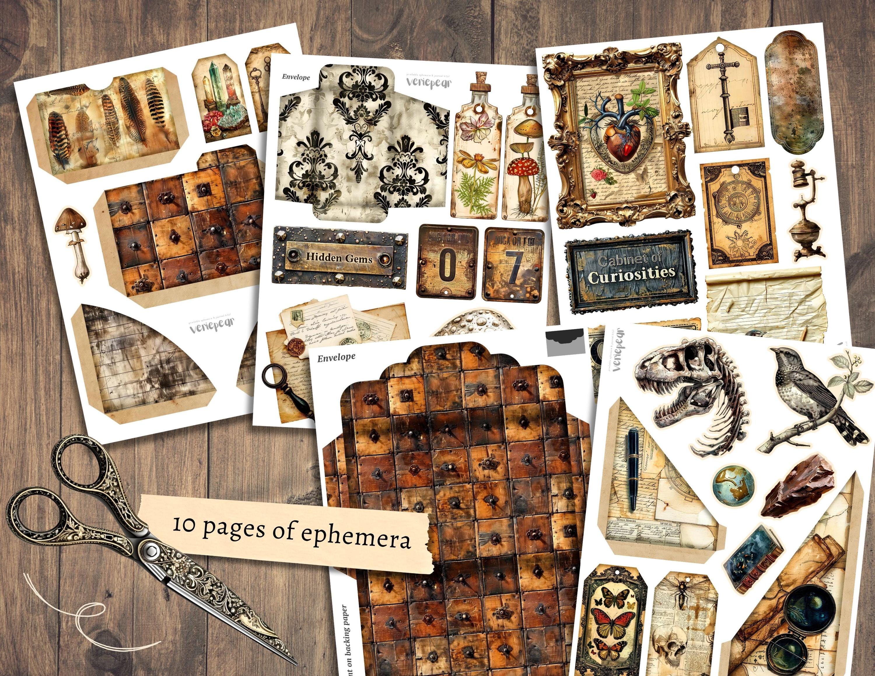 Cabinet of Curiosities Junk Journal Kit, Digital Scrapbook Paper, Natural History Printable, Victorian Science Pages, Vintage Ephemera Craft - Etsy Cabinet of Curiosities Junk Journal Kit, Digital Scrapbook Paper, Natural History Printable, Victorian Science Pages, Vintage Ephemera Craft - Etsy