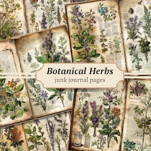 Páginas de diario basura de hierbas botánicas, kit de papel de álbum de recortes digital, imprimible a base de hierbas, hoja de collage antigua, efímera de plantas vintage, boticario