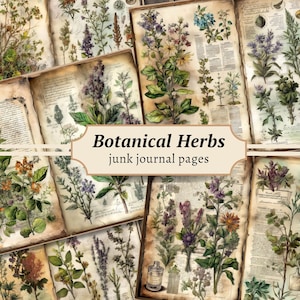 Botanical Herbs Junk Journal Pages, Digital Scrapbook Paper Kit, Herbal Printable, Antique Collage Sheet, Vintage Plant Ephemera, Apothecary