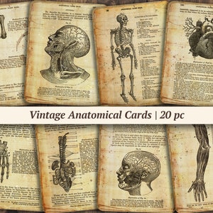 Vintage anatomische logboekkaarten | 20 stuks | afdrukbare anatomie junkdagboek kortstondig, digitale medische plakboekpapierkit, collagevel