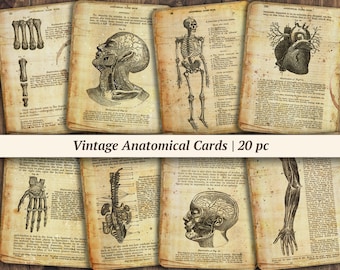 Vintage Anatomical Journaling Cards | 20 pc | printable anatomy junk journal ephemera, digital medical scrapbook paper kit, collage sheet